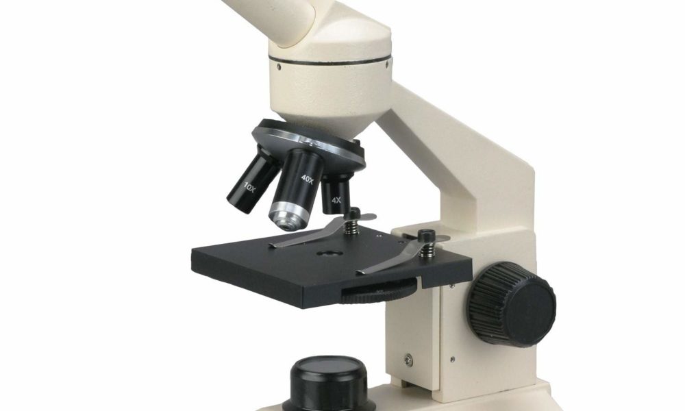  Jenis  jenis  Mikroskop  yang Sering Kita Jumpai dan  Fungsinya
