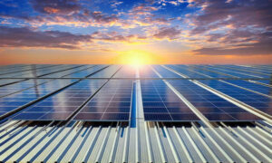 Harga Genset Solar untuk Kebutuhan Energi Listrik Darurat